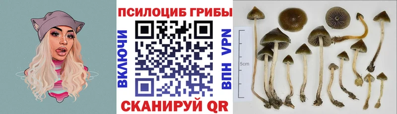 Галлюциногенные грибы мухоморы Белгород
